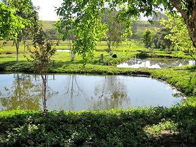Hostal Pousada Recanto Do Teimoso Pouso Alegre