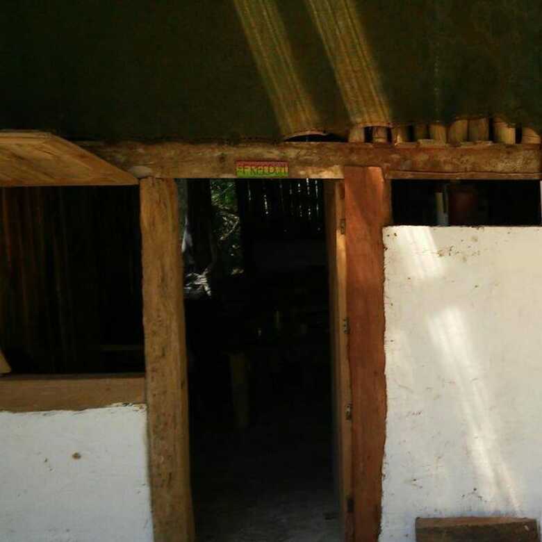 Hostal Freedom Jungle
