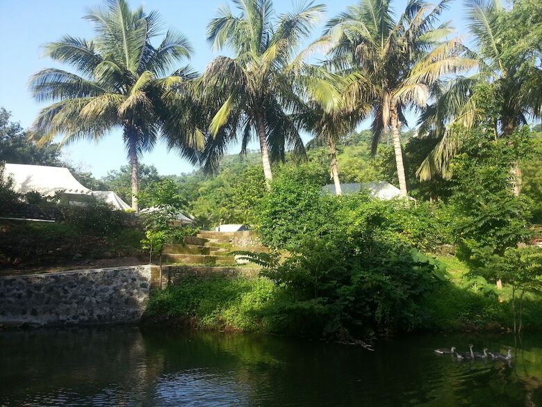 Hotel Hiranya Resorts