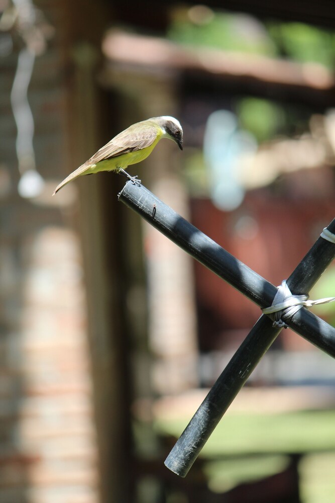 Posada Pousada Arraial Dos Sonhos