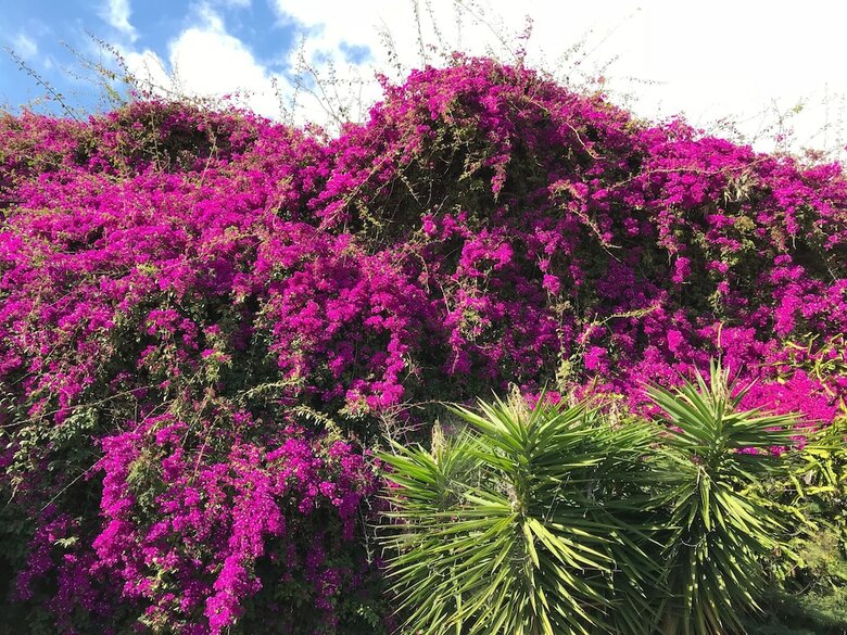 Apartamentos Do Mar
