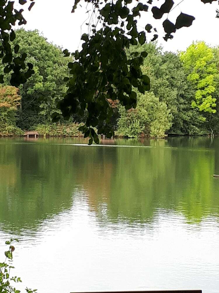 Field View B&B