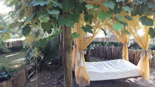 Hostal Espa�o Hol�stico Chal�s