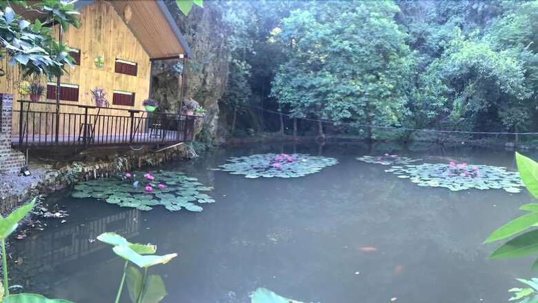 Hostal Tam Coc Central Bungalow - Hostel