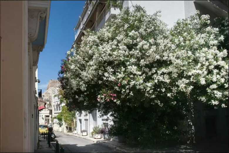 Apartamentos Art House For 8 Under The Acropolis