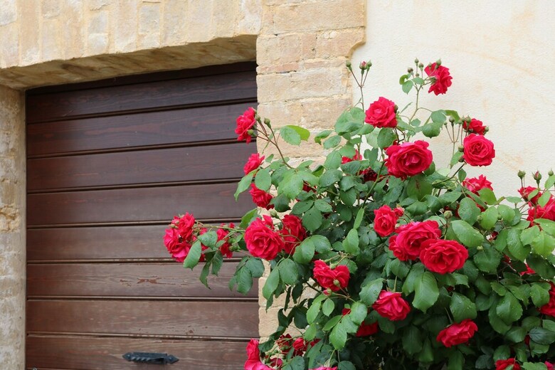 Agroturismo Casa Lisetta