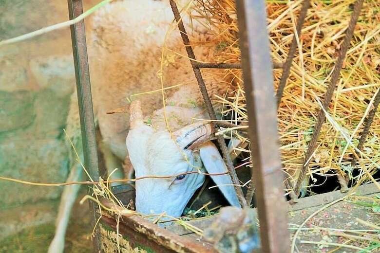Agroturismo Marrakesh Organics