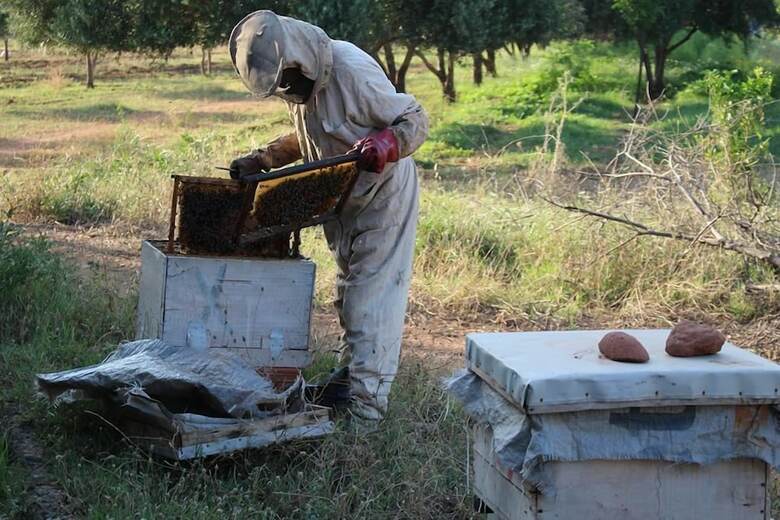 Agroturismo Marrakesh Organics