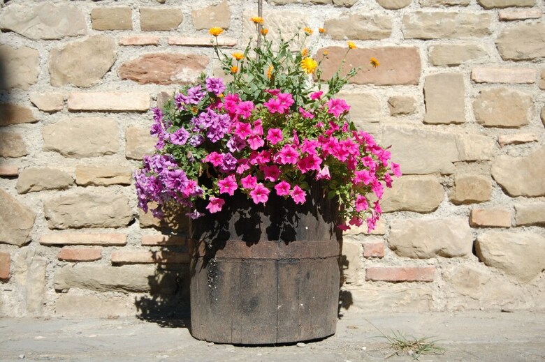Agroturismo Borgo Del Senatore
