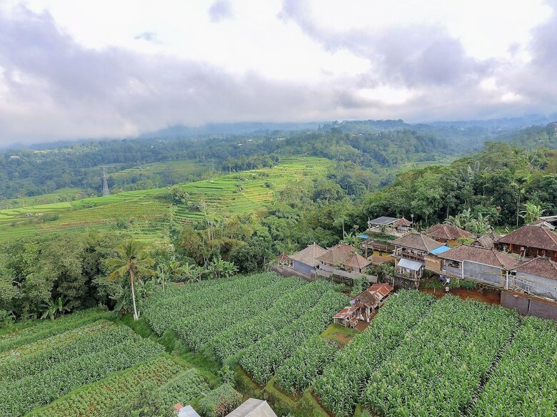 Hotel Pondok Nyoman Bedugul