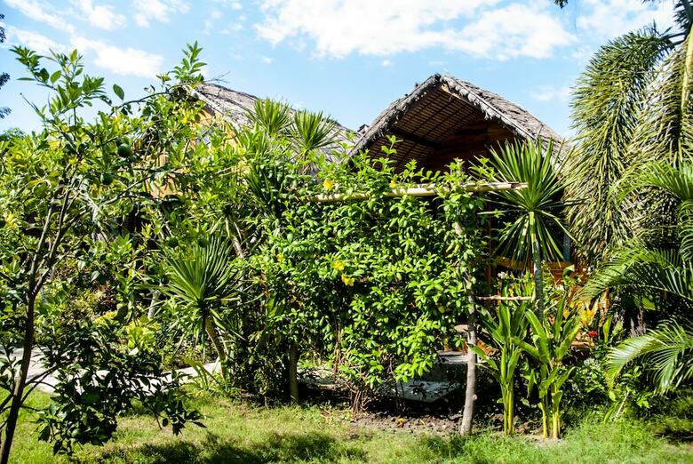 Hotel Cotton Tree Cottages