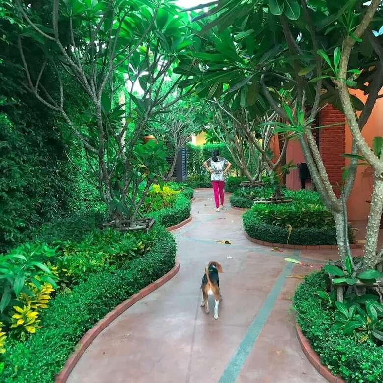 Oyo 119 Baan Noppadol Hua Hin Loft Hotel