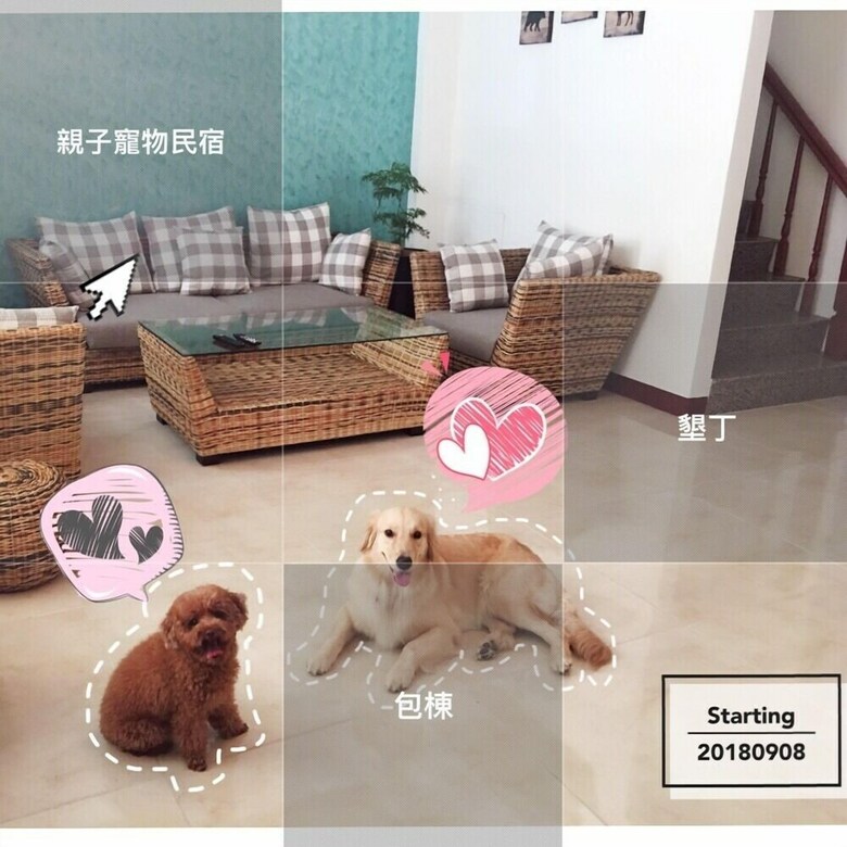 Bed & Breakfast Starting