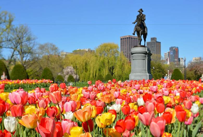 Splendid Two Bedroom Apartment In Back Bay, Boston
