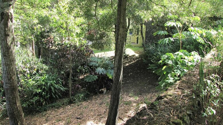 Apartamentos Quinta Das Ac�cias Guest Houses
