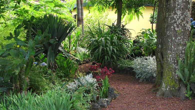 Apartamentos Quinta Das Ac�cias Guest Houses