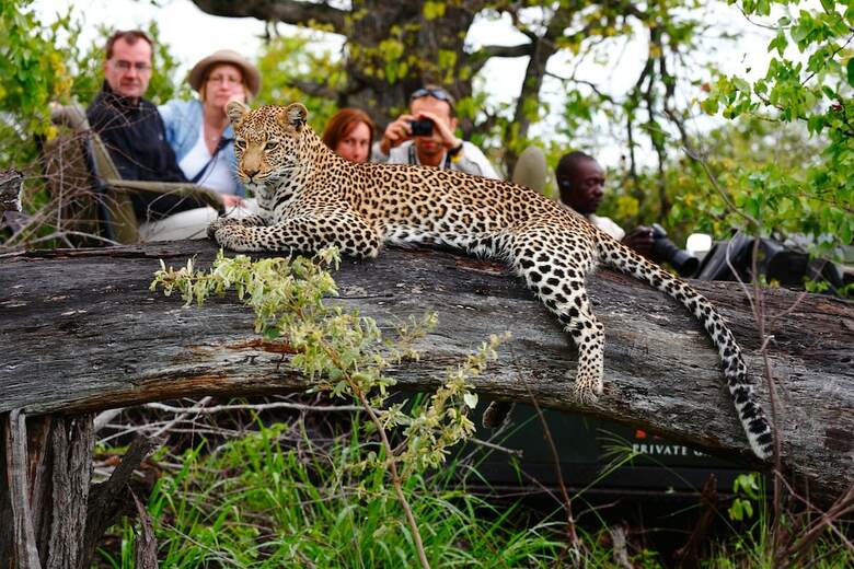 Hotel Motswari Private Game Reserve