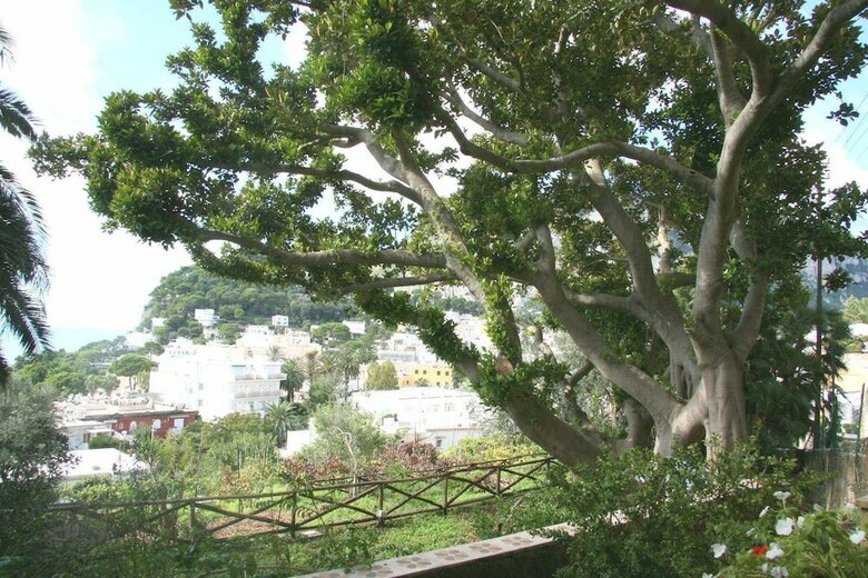 Posada Villa Helios Capri