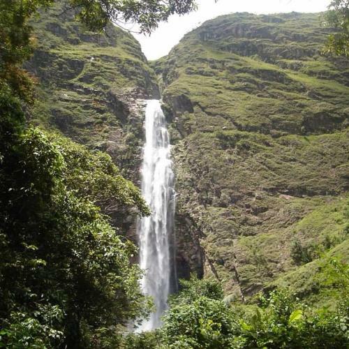 Chal� Flor Da Serra
