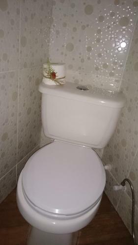 Hostal Cabanas Para�so