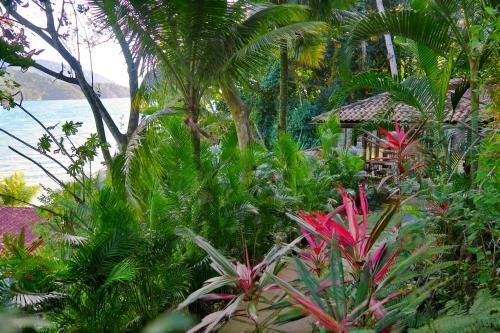 Atlantica Jungle Lodge