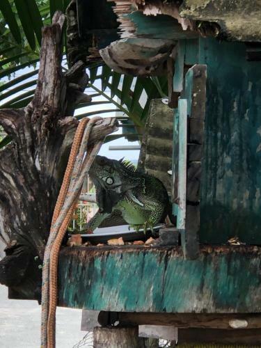 Hostal Solar Das Gaivotas Pousada