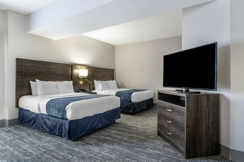 Hotel Comfort Suites Mcdonough Atlanta South
