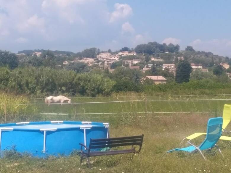 Bed & Breakfast G�te Mas de Bruguerolle