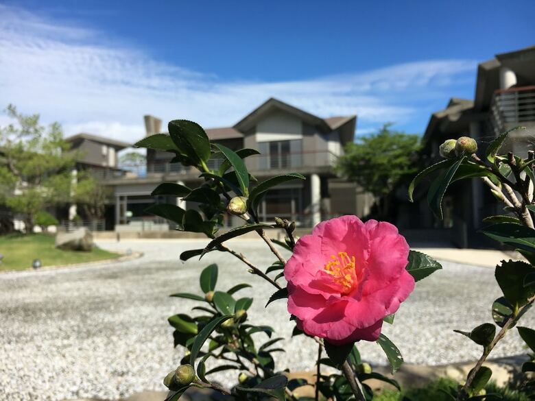 Bed & Breakfast Apex Villa