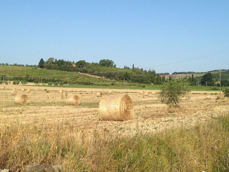 Agroturismo Colle Berto