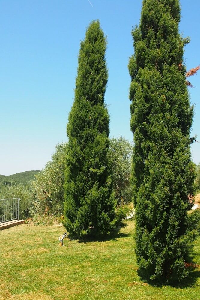 Agroturismo Colle Berto