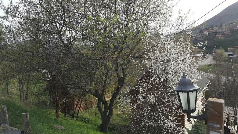 Hotel Vegke Kutuk Evleri