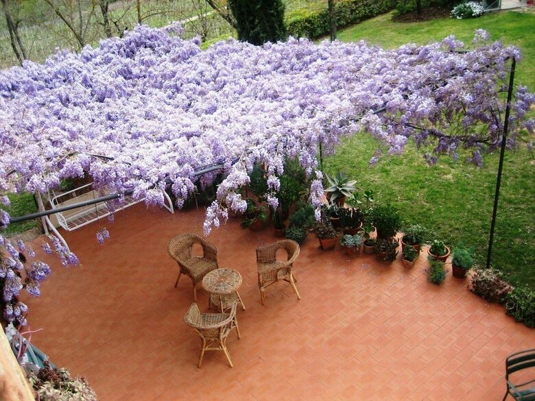 Apartamento Il Rosolaccio