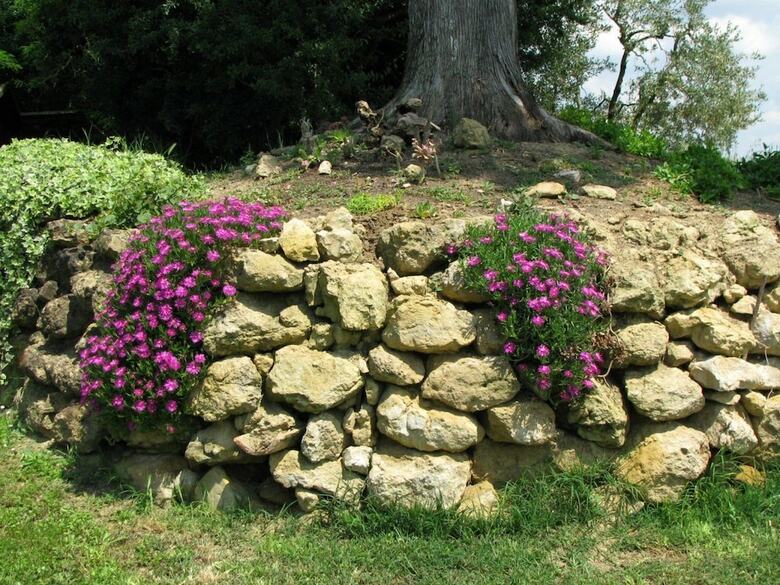 Apartamento Il Rosolaccio