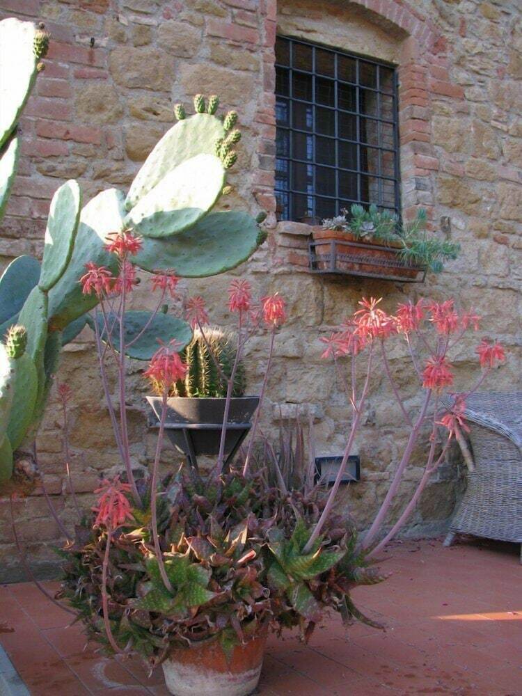 Apartamento Il Rosolaccio