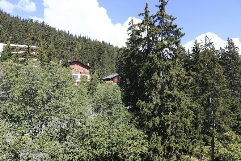 Hotel Alpine Dependance By Arenas Resort Valaisia