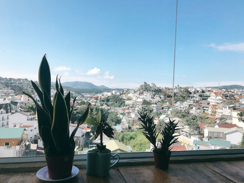 Hostal Da Lach Foodie Hostel