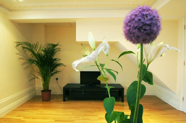 Hotel Kemp Town House