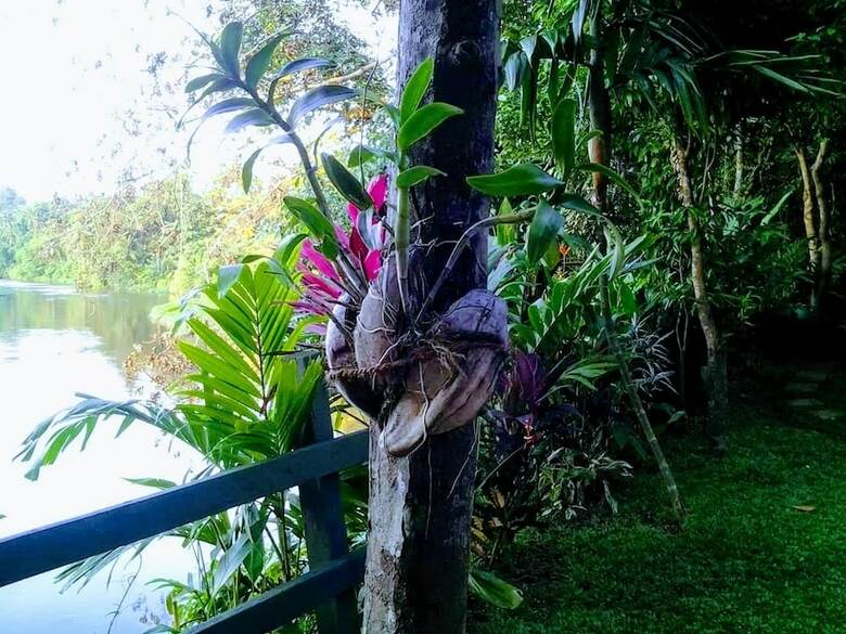 Bed & Breakfast Randoni Villa