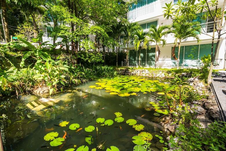 Apartamentos The Trees Kammala By Lofty