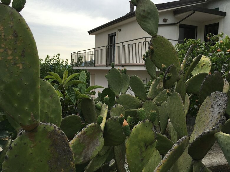 Apartamento Il Gelso Bianco - Cilento