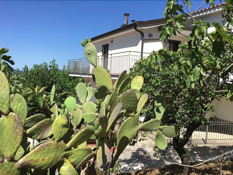 Apartamento Il Gelso Bianco - Cilento