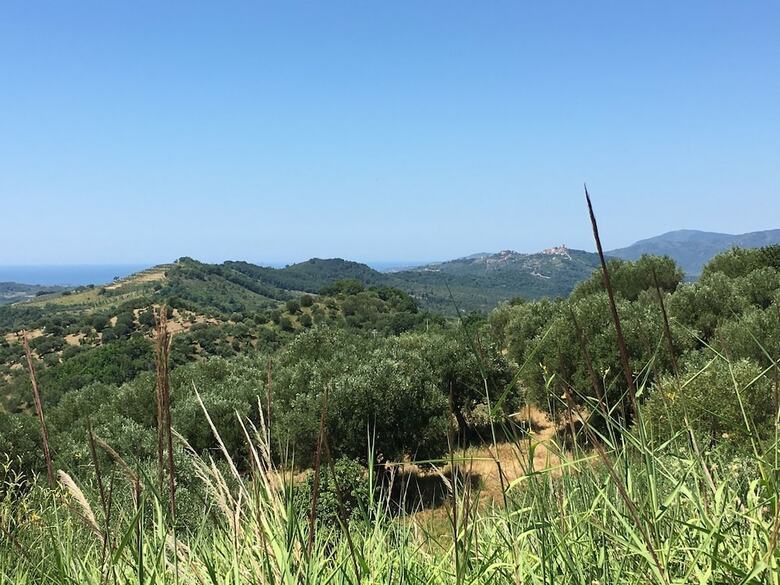 Apartamento Il Gelso Bianco - Cilento