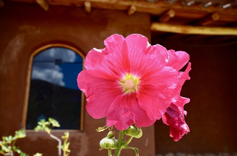 Posada Kinsapacha Eco-farm Lodge