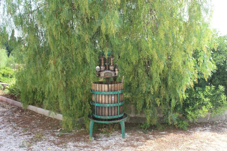 Bed & Breakfast La Lanterna Delle Fate