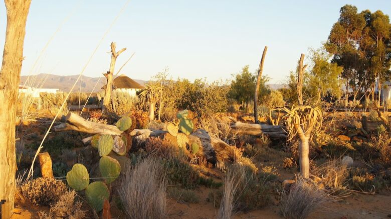 Posada Inverdoorn Private Game Reserve