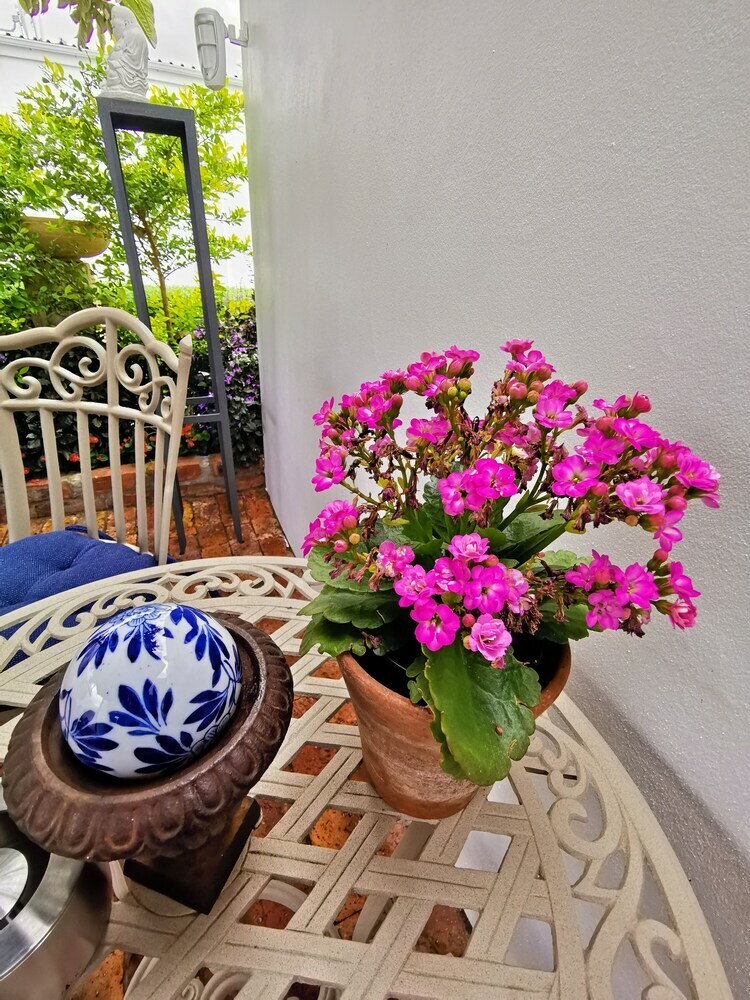 Bleu Cobalt Cottage
