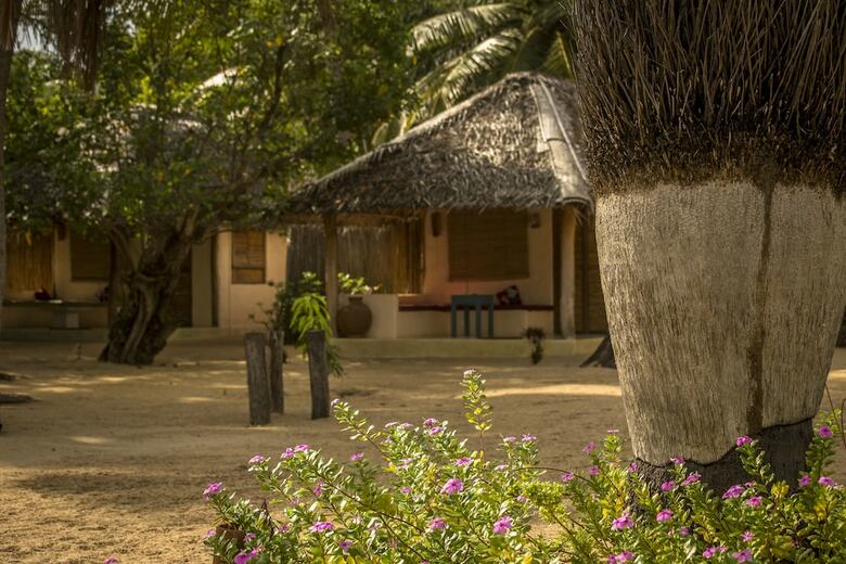 Bed & Breakfast Cocodance Kitesurfing Resort