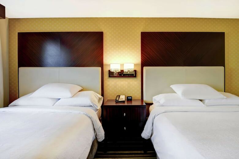 Hotel Embassy Suites By Hilton Savannah Airport