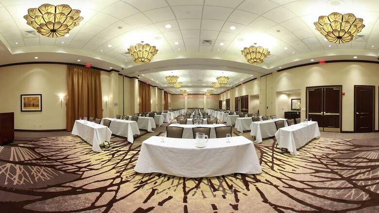 Hotel Embassy Suites By Hilton Savannah Airport